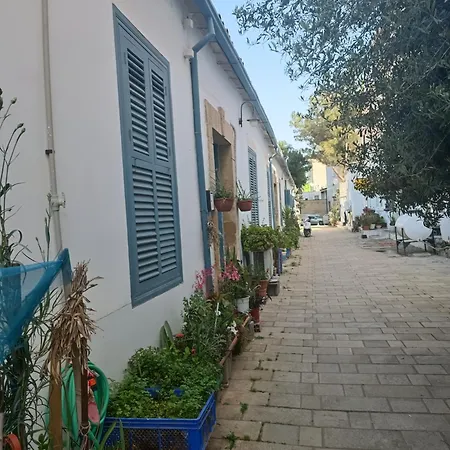 Kwatera prywatna Altin Lefkosa Kibris Kktc Izmir